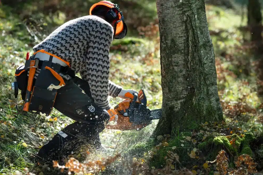 Person saver træ med motorsav i skov