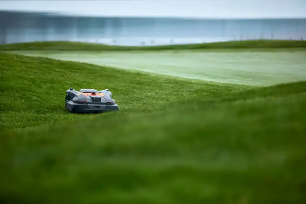 Robotplæneklipper på græsplæne ved vandet
