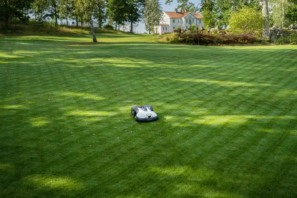 Robotplæneklipper på græsplæne foran et hus