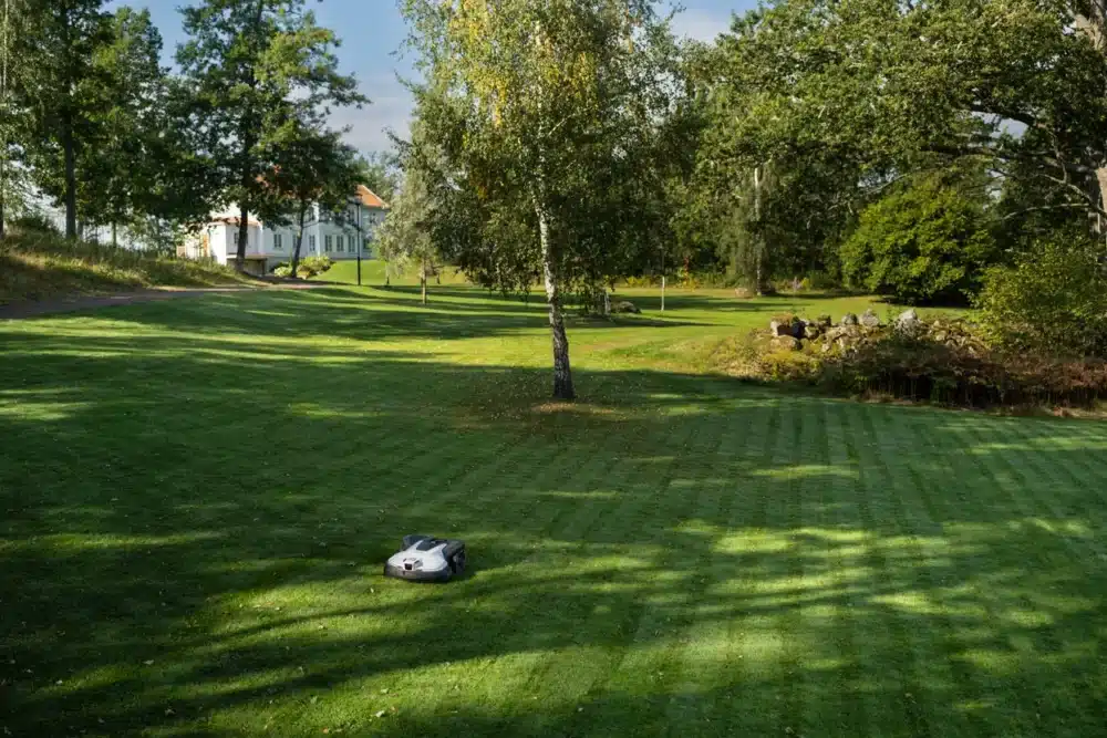 Robotplæneklipper på en græsplæne med træer i baggrunden