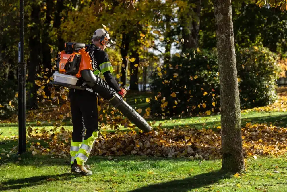 Person med løvblæser i en park opsamler efterårsblade.