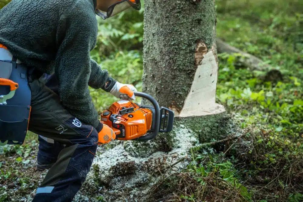 Person saver træ med en orange motorsav i skoven.