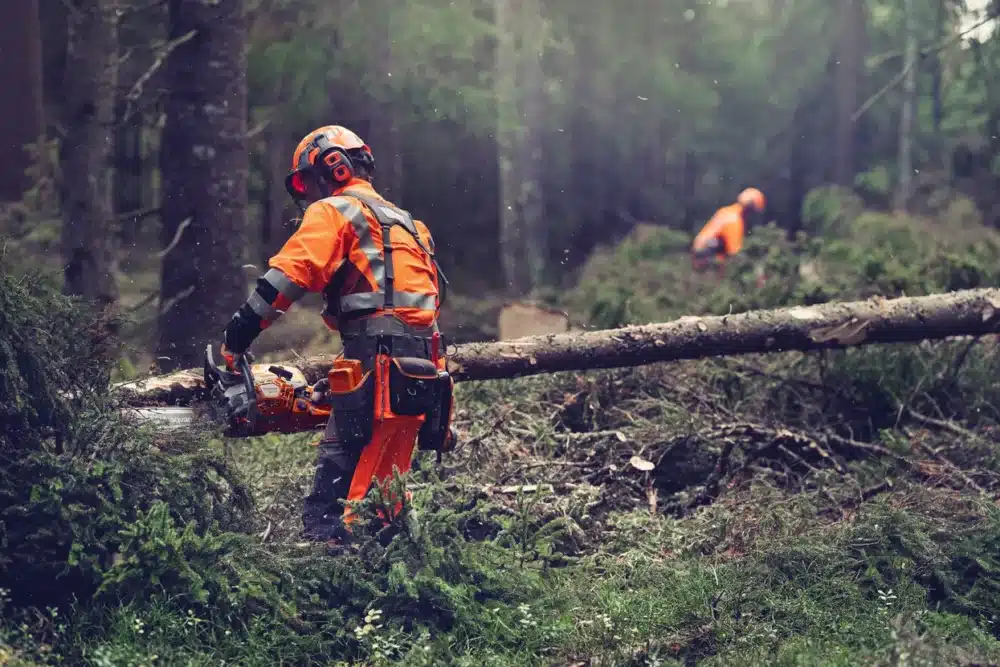 Husqvarna 564 XP® G Fuel Inject Motorsav - Billede 6